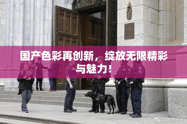 国产色彩再创新，绽放无限精彩与魅力！