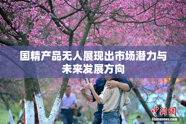国精产品无人展现出市场潜力与未来发展方向