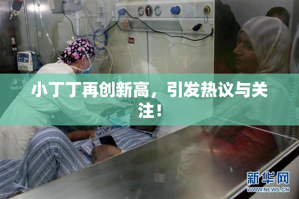 小丁丁再创新高，引发热议与关注！