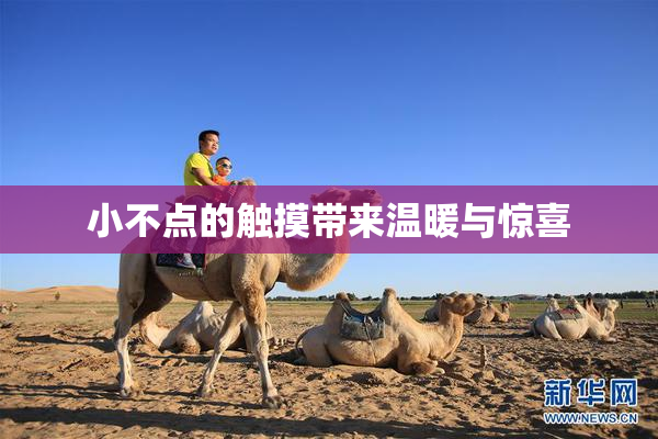 小不点的触摸带来温暖与惊喜