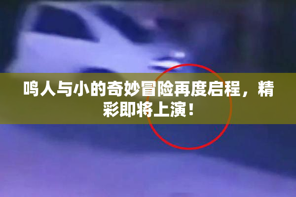鸣人与小的奇妙冒险再度启程，精彩即将上演！