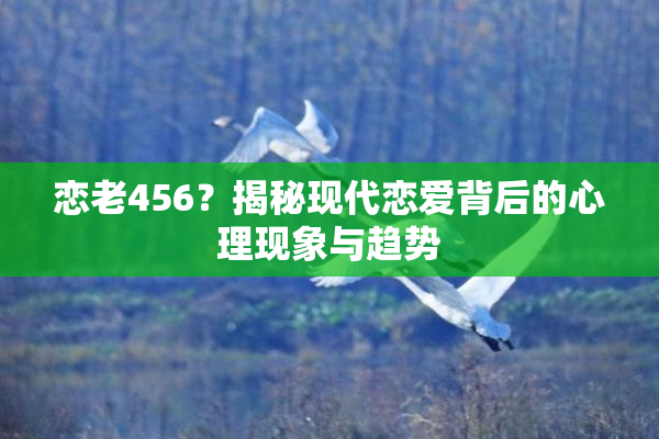 恋老456？揭秘现代恋爱背后的心理现象与趋势