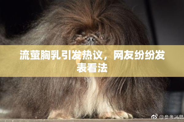 流萤胸乳引发热议，网友纷纷发表看法