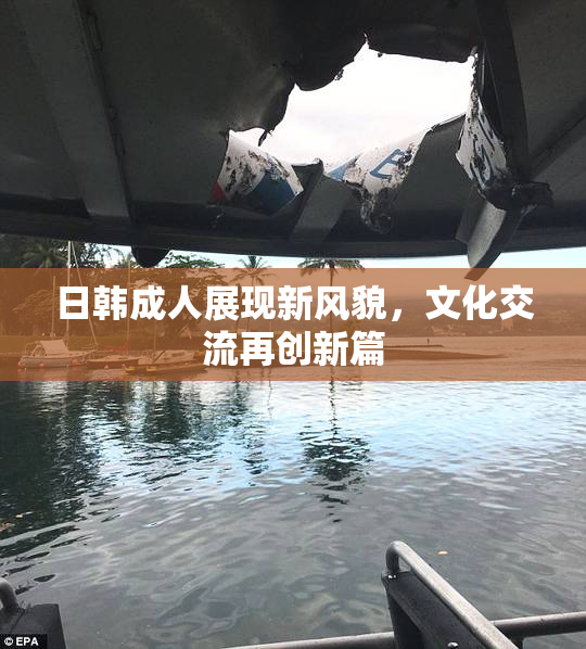 日韩成人展现新风貌，文化交流再创新篇