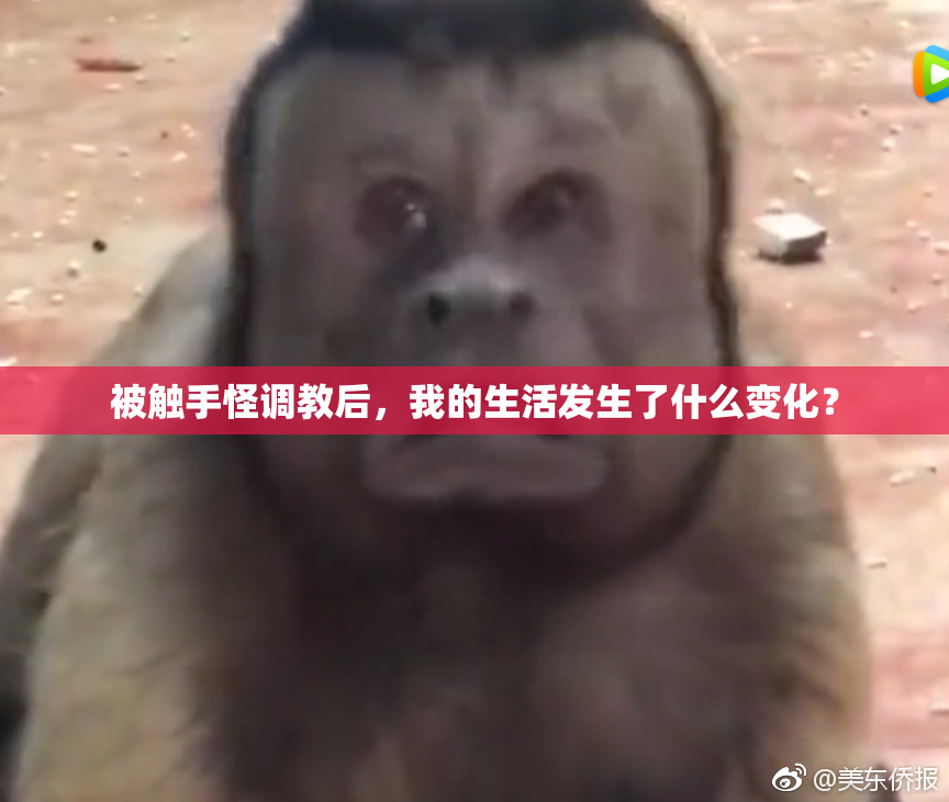 被触手怪调教后，我的生活发生了什么变化？