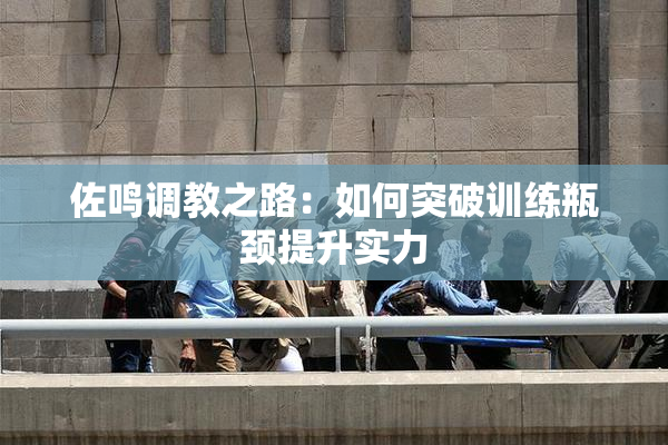 佐鸣调教之路：如何突破训练瓶颈提升实力