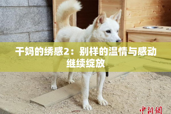 干妈的绣感2：别样的温情与感动继续绽放