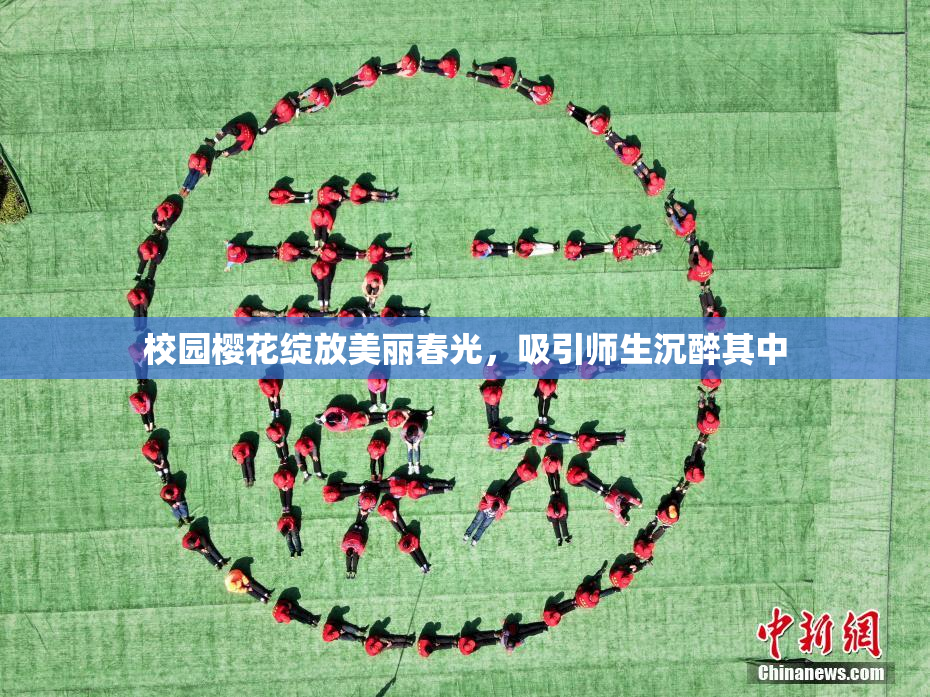 校园樱花绽放美丽春光，吸引师生沉醉其中