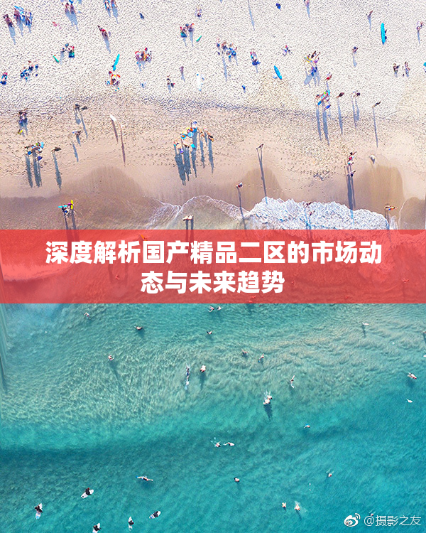 深度解析国产精品二区的市场动态与未来趋势