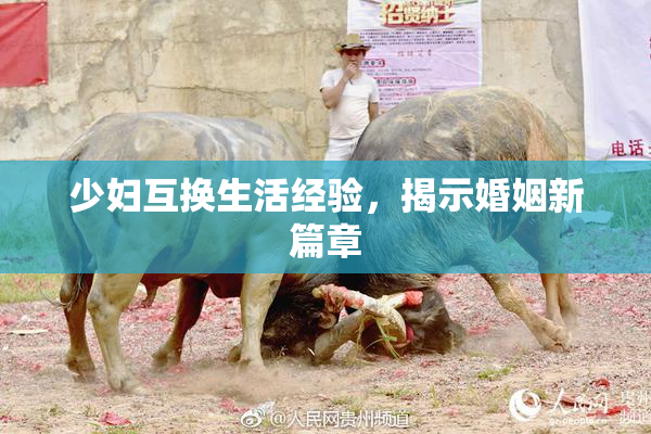 少妇互换生活经验，揭示婚姻新篇章