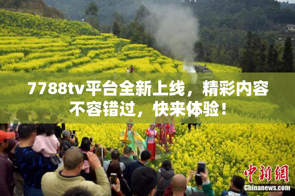 7788tv平台全新上线，精彩内容不容错过，快来体验！