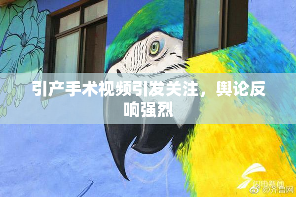 引产手术视频引发关注，舆论反响强烈