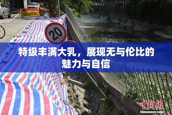 特级丰满大乳，展现无与伦比的魅力与自信