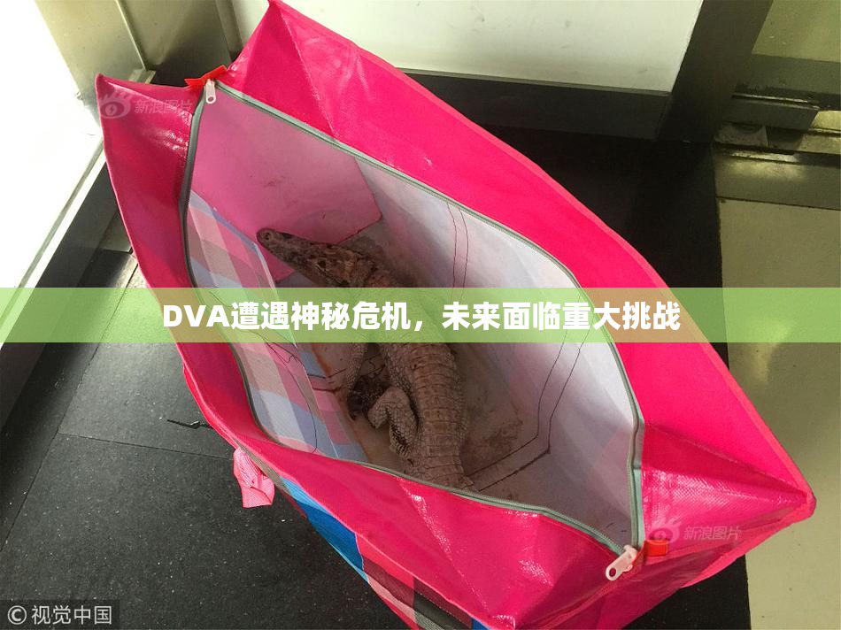 DVA遭遇神秘危机，未来面临重大挑战