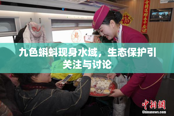 九色蝌蚪现身水域，生态保护引关注与讨论
