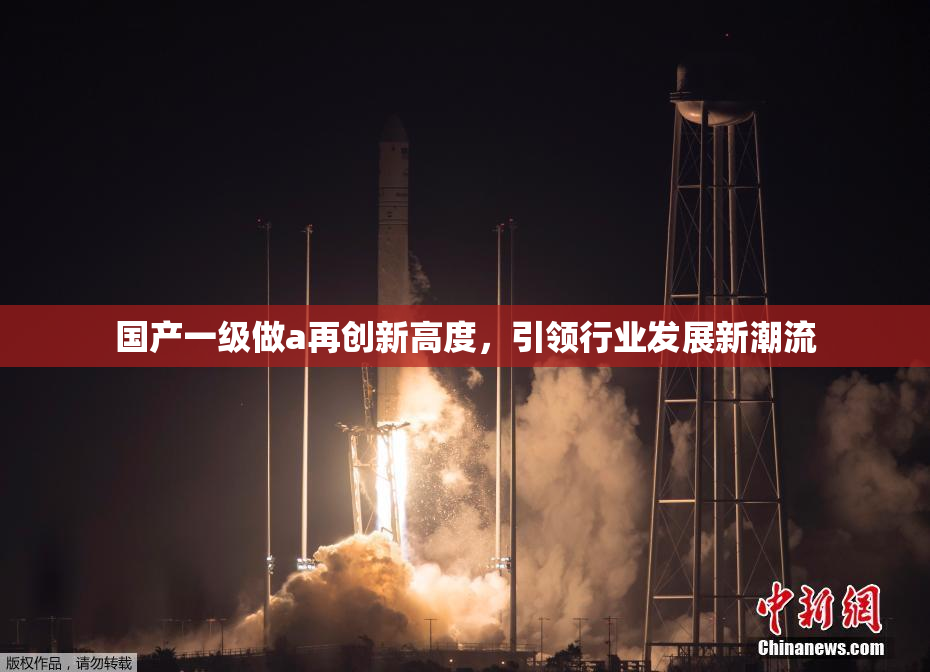 国产一级做a再创新高度，引领行业发展新潮流