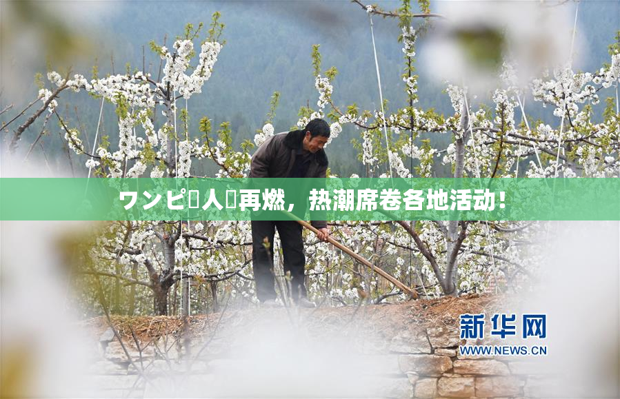 ワンピー人気再燃，热潮席卷各地活动！
