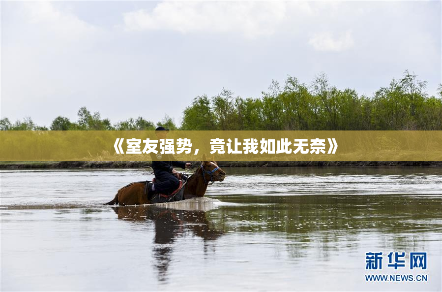《室友强势，竟让我如此无奈》