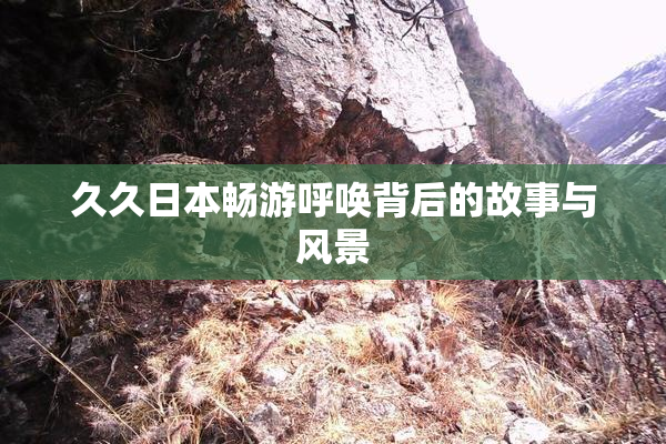 久久日本畅游呼唤背后的故事与风景