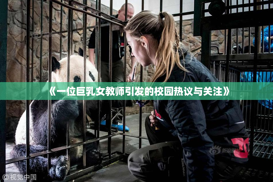 《一位巨乳女教师引发的校园热议与关注》