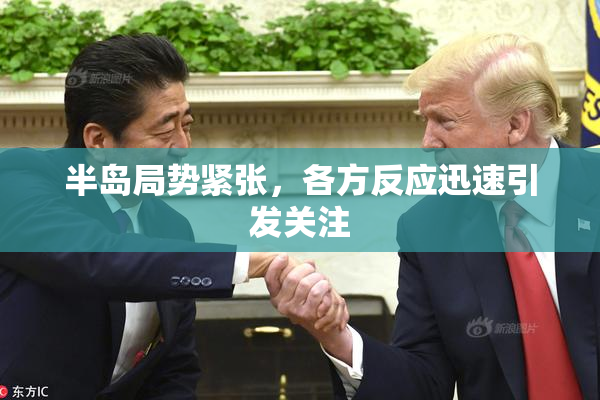 半岛局势紧张，各方反应迅速引发关注