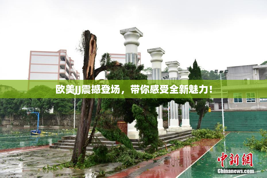 欧美JJ震撼登场，带你感受全新魅力！
