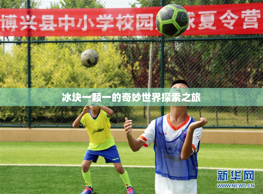 冰块一颗一的奇妙世界探索之旅