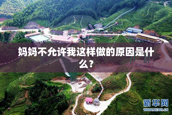 妈妈不允许我这样做的原因是什么？