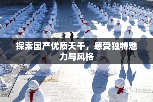 探索国产优质天干，感受独特魅力与风格