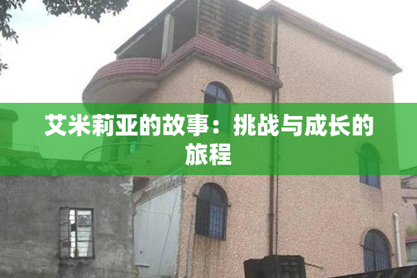 艾米莉亚的故事：挑战与成长的旅程