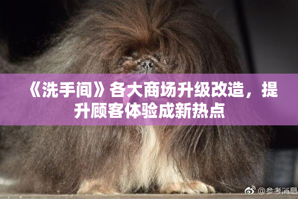 《洗手间》各大商场升级改造，提升顾客体验成新热点