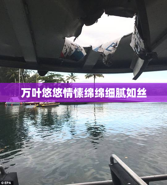 万叶悠悠情愫绵绵细腻如丝