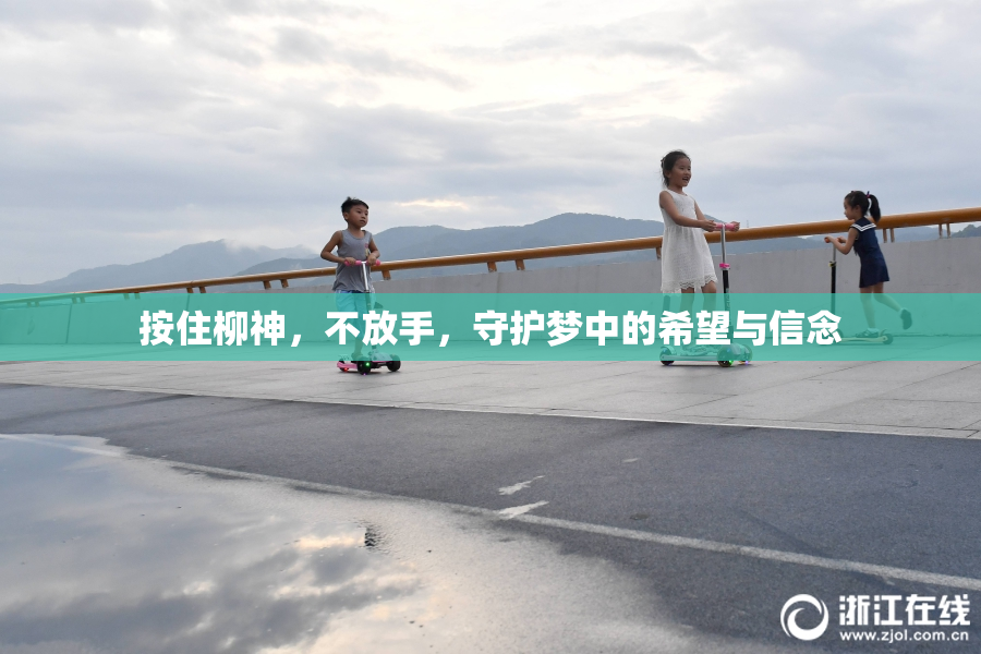 按住柳神，不放手，守护梦中的希望与信念