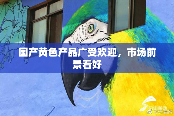 国产黄色产品广受欢迎，市场前景看好