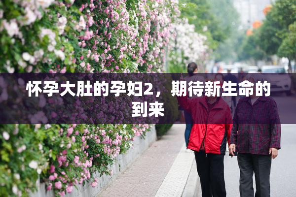 怀孕大肚的孕妇2，期待新生命的到来