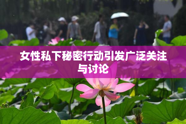女性私下秘密行动引发广泛关注与讨论
