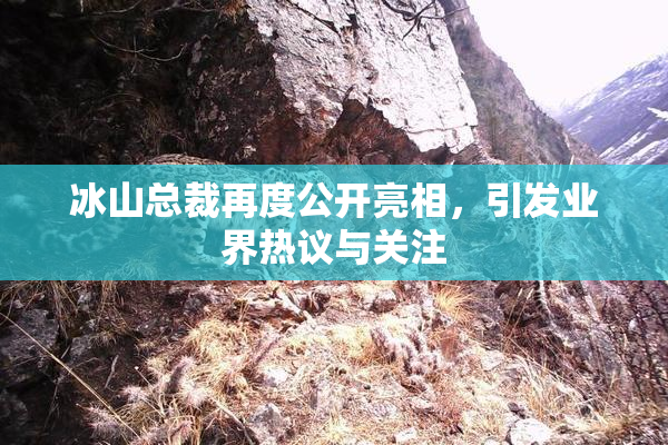 冰山总裁再度公开亮相，引发业界热议与关注