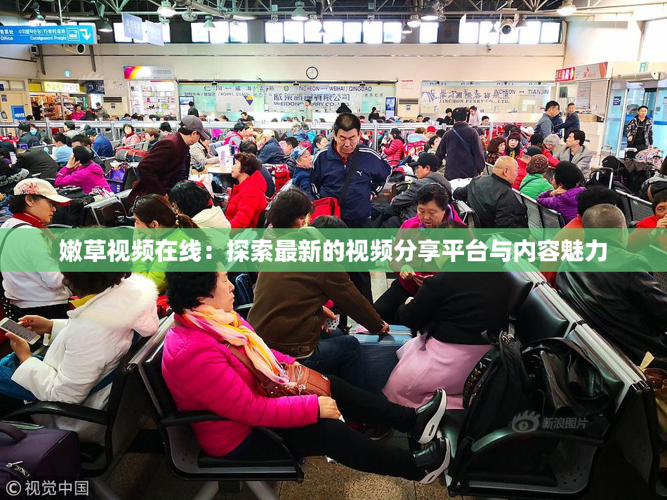 嫩草视频在线：探索最新的视频分享平台与内容魅力