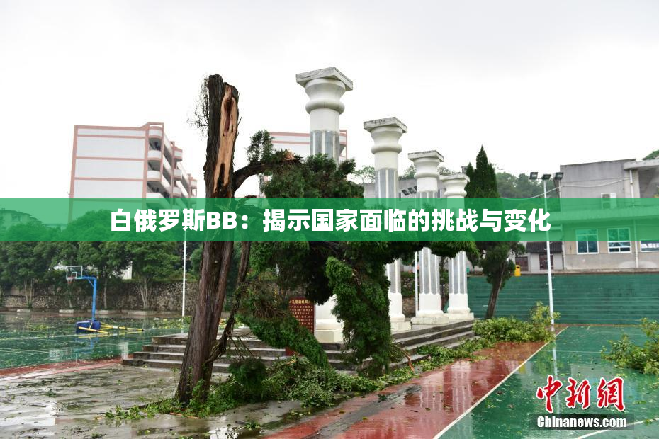 白俄罗斯BB：揭示国家面临的挑战与变化
