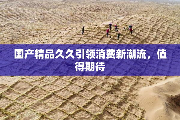 国产精品久久引领消费新潮流，值得期待