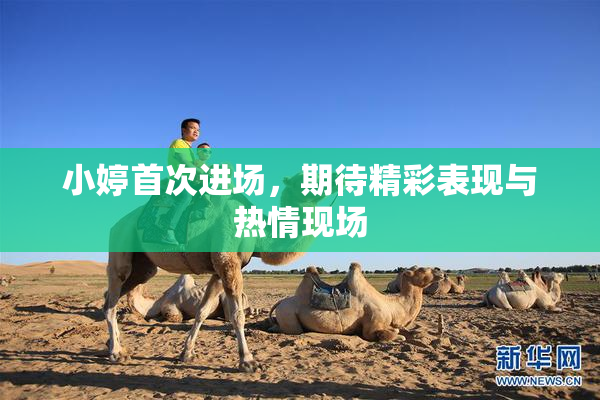 小婷首次进场，期待精彩表现与热情现场