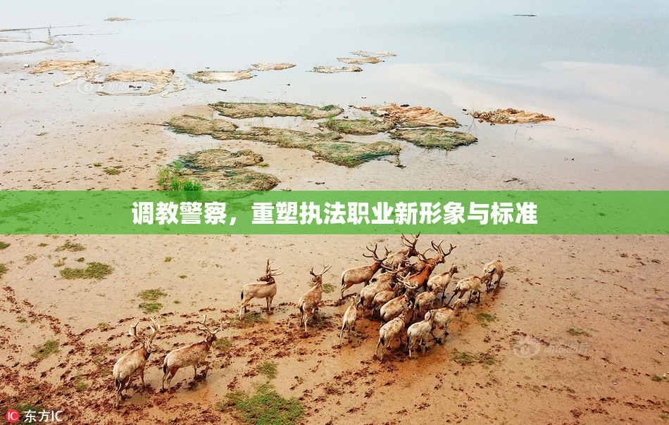 调教警察，重塑执法职业新形象与标准