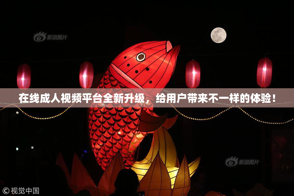 在线成人视频平台全新升级，给用户带来不一样的体验！