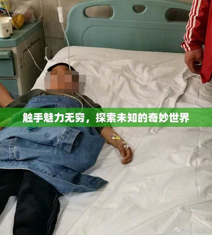 触手魅力无穷，探索未知的奇妙世界