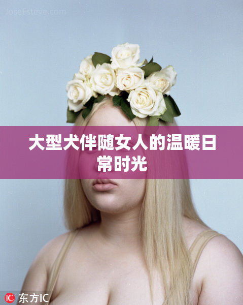大型犬伴随女人的温暖日常时光