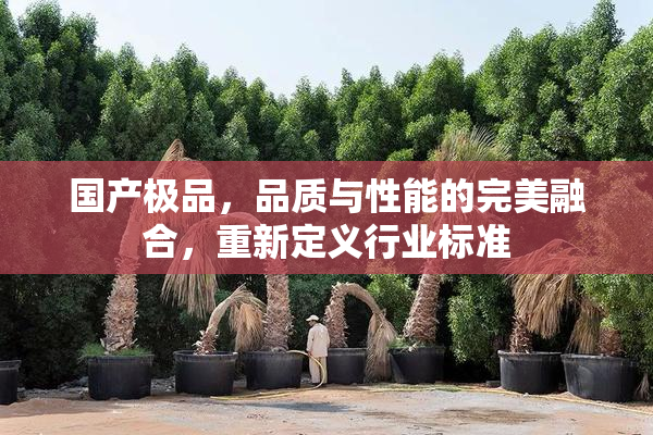国产极品，品质与性能的完美融合，重新定义行业标准