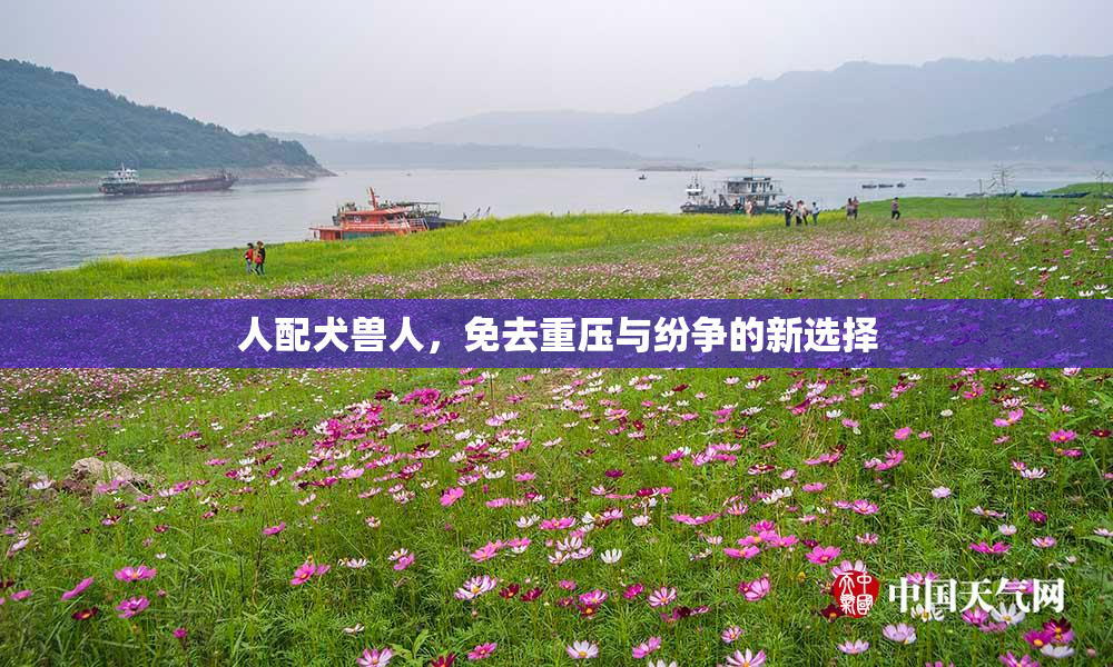 人配犬兽人，免去重压与纷争的新选择