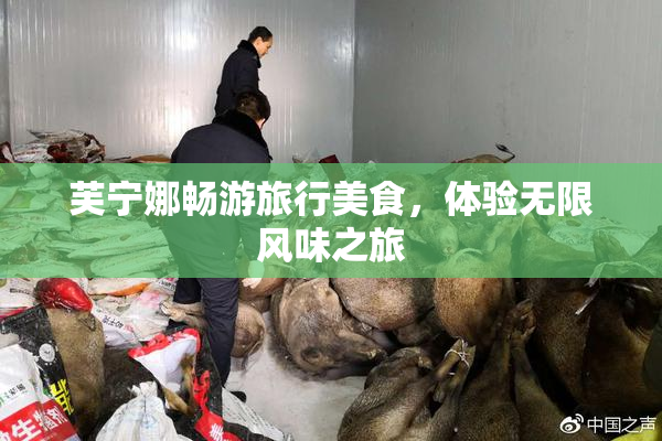 芙宁娜畅游旅行美食，体验无限风味之旅