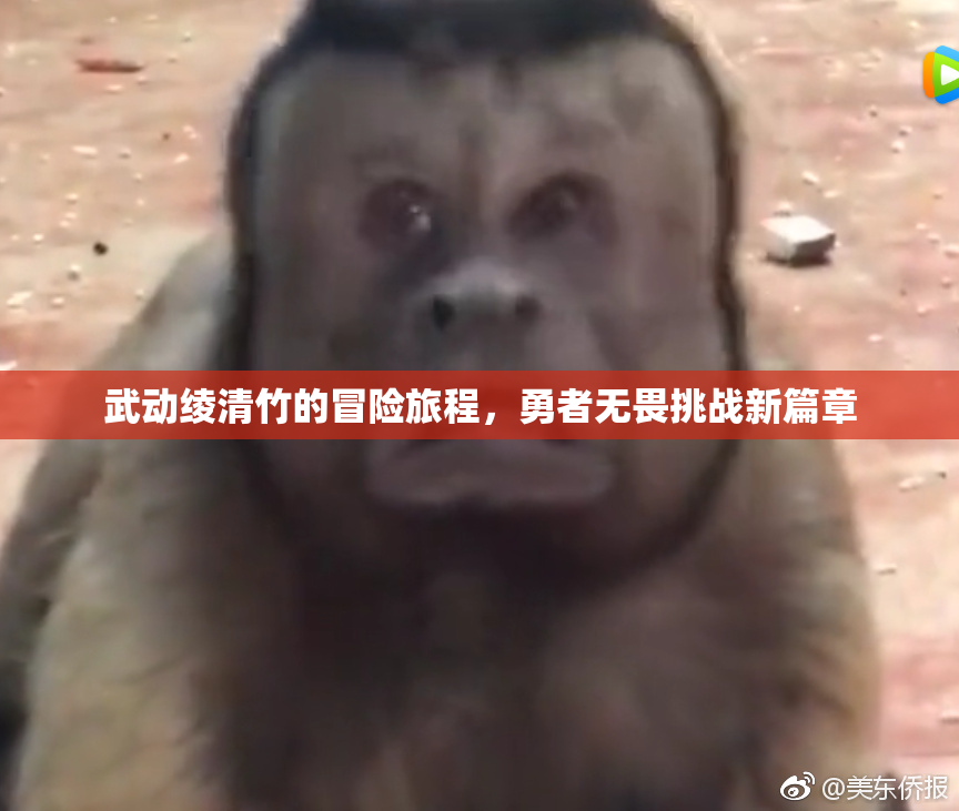 武动绫清竹的冒险旅程，勇者无畏挑战新篇章