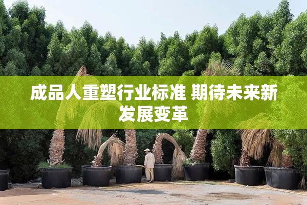 成品人重塑行业标准 期待未来新发展变革